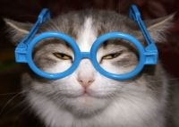 Смешные запросы в поисковиках