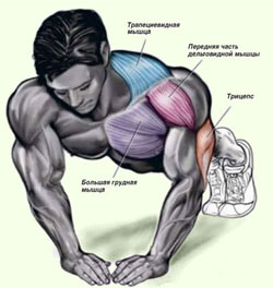 Упор лежа принять: виды отжимани...