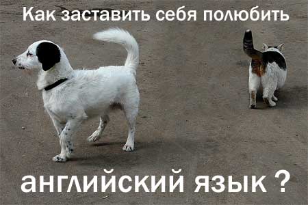 Как заставить себя выучить английский язык?