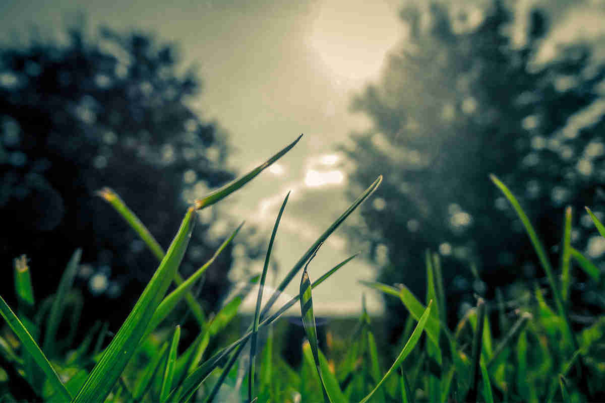 тестовая запись