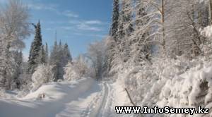 В ВКО раскаяние в убийстве заставило мужчину пройти 30 километров на лыжах