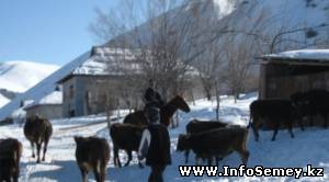 Отдаленные районы Восточного Казахстана будут обслуживать передвижные аптеки