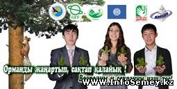 В Семее сосны растут прямо на подоконниках