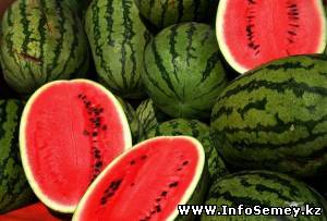 Сейчас ранний бахчевый урожай есть уже в широкой продаже. Покупатели стоят перед выбором: брать или пока не брать? В прошлом году первые ар
