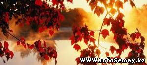 Какую погоду пронозируют синоптики на сентябрь этого года?