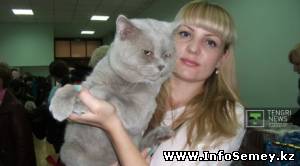 ФОТО: Кота-богатыря выбрали в Семее