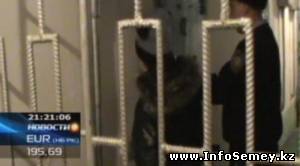 В Семее хрупкая студентка медколледжа со своим приятелем жестоко убила сокурсницу