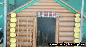 В биоцентре Семея из-за морозов ввели круглосуточное наблюдение за животными