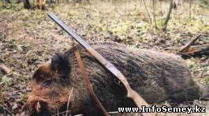 Группа браконьеров задержана в Восточном Казахстане