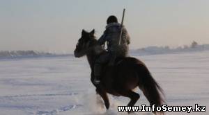 Житель Восточного Казахстана расстрелял из винтовки 43 лошади