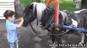 Клуб верховой езды на пони открылся в Семее