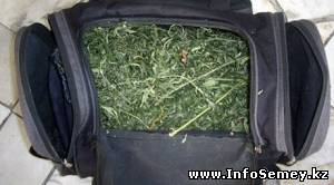 В Семее задержали торговца марихуаной