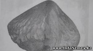 Упавшую на Семипалатинскую область из космоса юрту предлагают вернуть Казахстану