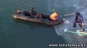 Спасатели сняли со льда бездомного пса в Семее
