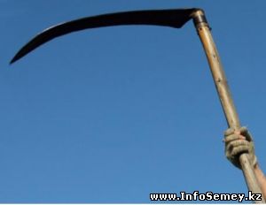 Пьяный семейчанин зарубил дворника косой