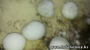 В ВКО прошел град размером с шарик для пинг-понга