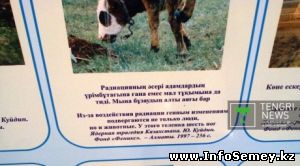 Секретные документы показали на антиядерной выставке в Семее