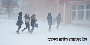 Ученики с первых по девятые классы включительно сегодня остались дома.