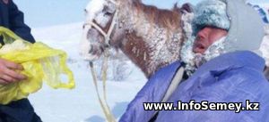 Спасатели Семея нашли пастуха, который около суток блуждал по степи