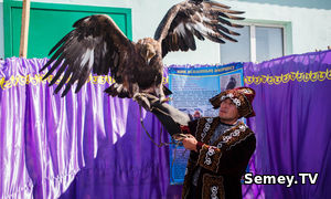 В Семее проведена выставка сельхоз товаропроизводителей